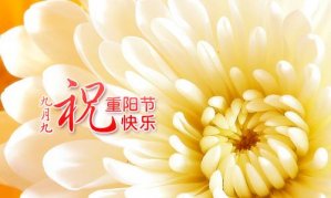  ���¾�������������Ϯ�����ϰ��������ϣ� 